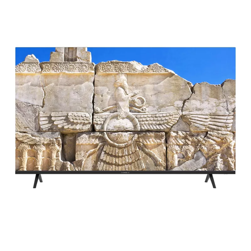 یک تلویزیون را نشان می‌دهد که روی صفحه آن تصویری از نقش برجسته‌های تخت جمشید به نمایش درآمده است.