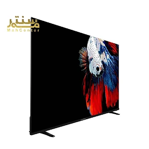 یک تلویزیون هوشمند Daewoo 65 اینچی در پس زمینه سفید نشان داده شده است. این تلویزیون در حال نمایش یک تصویر نزدیک از یک ماهی رنگارنگ است.