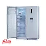 یخچال فریزر دوقلو دیپوینت مدلD5i W