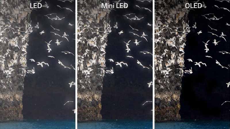 مقایسه‌ی قیمت تلویزیون LED و OLED 
